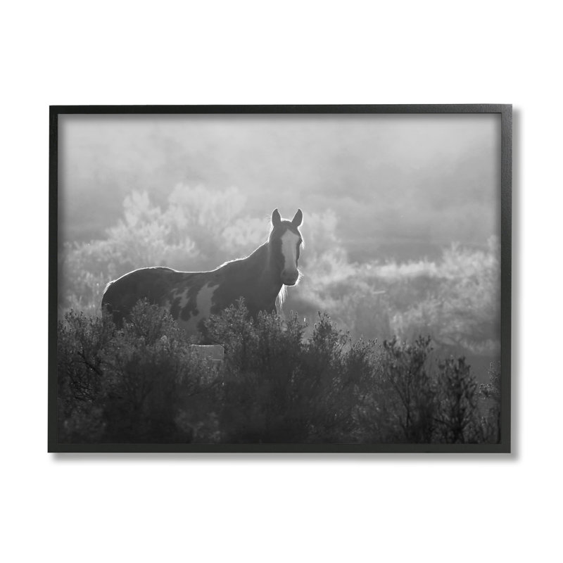 Cheval dans la nature, arbres sur toile par Steve Toole, H 11 po x l 14 po x P 1,5 po, Giclée encadrée noir minuit