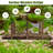 Wooden Garden Bridge