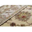 Wool Oriental Area Rug