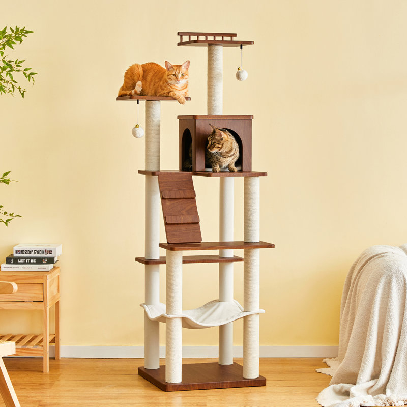 Tour pour chat 64 po, Noyer brun, H 64 po x l 19,3 po x P 19,3 po