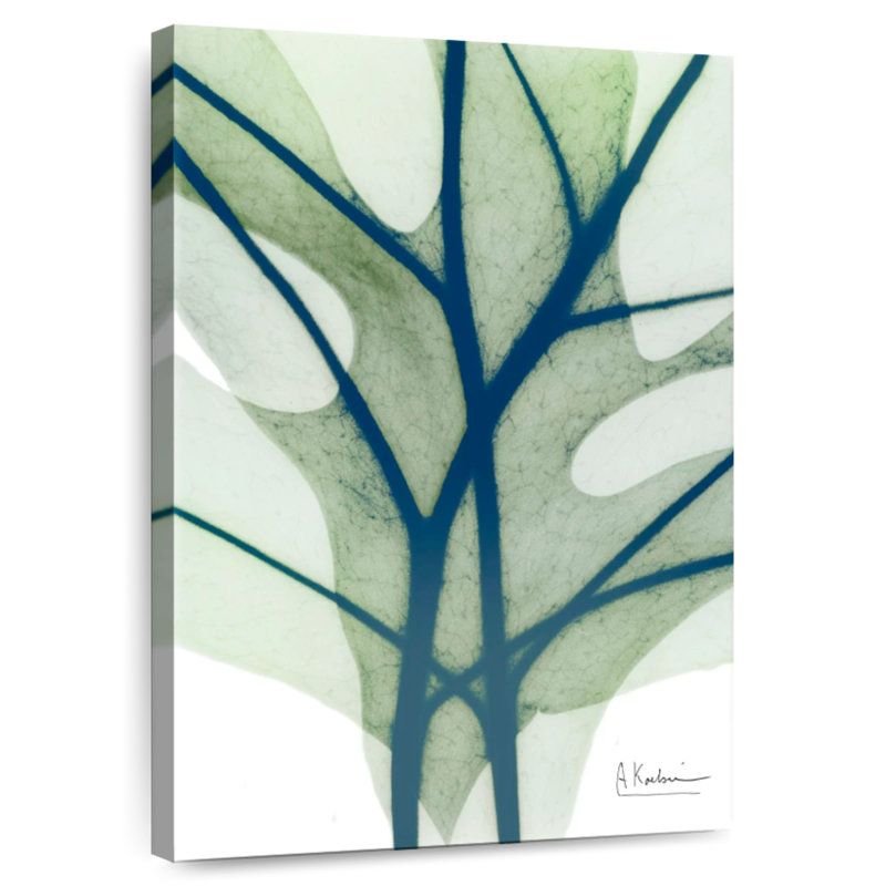 Harnek Vibrant Botanicals II, H 36 po x l 24 po