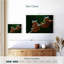 Deux grenouilles volantes de Wallace-107922749