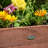 Wood Planter Box-995422579-995422576
