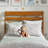 Areya Bed Kids Bed-1650418295-1650418282