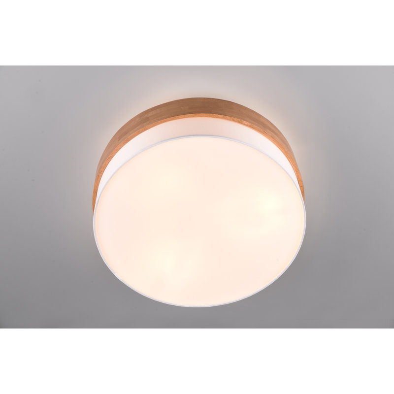 Rennan 3-Light 50cm LED Integrated Flush Mount, White