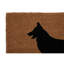 Branimir Outdoor Doormat