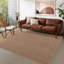 Non Slip Area Rugs Washable Carpet Pad Entryway Rug Weather Resistant Indoor and Outdoor Use 50305-114224317