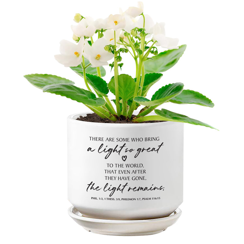 Jardinière A Light So Great To The World