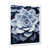 White Single Picture Framed