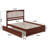 Aiston Solid Wood Platform Bed with Panel Footboard and Roll Out Trundle-1116850549