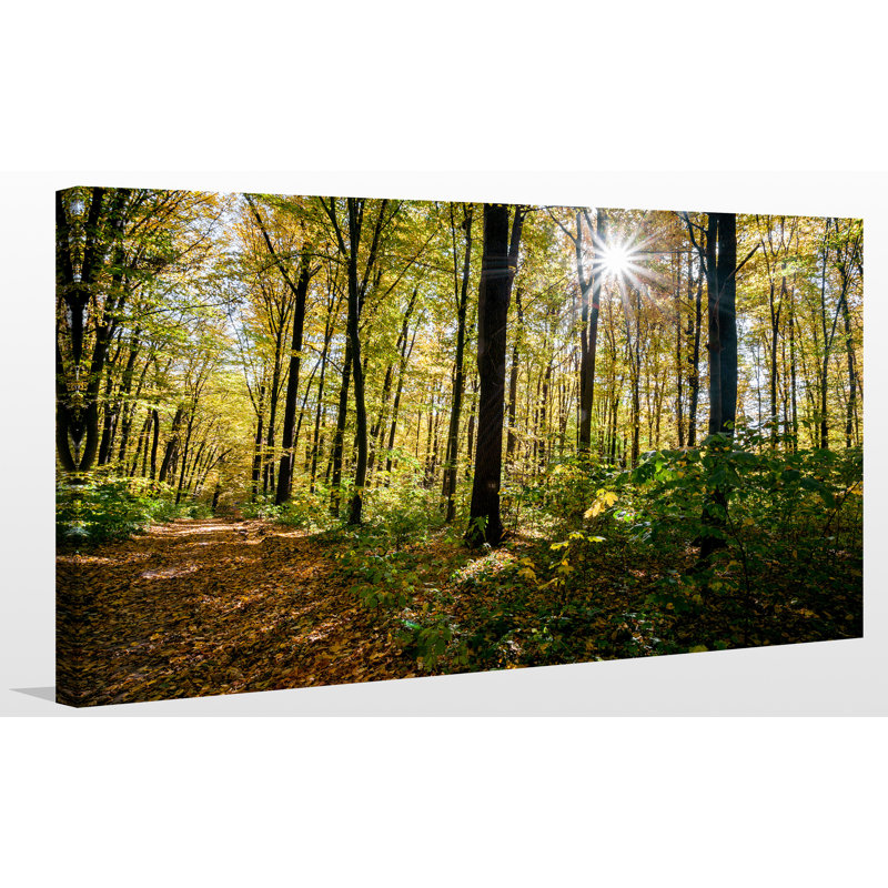 « forest trees », reproduction de photo sur toile tendue, H 24 po x l 40 po x P 1 po