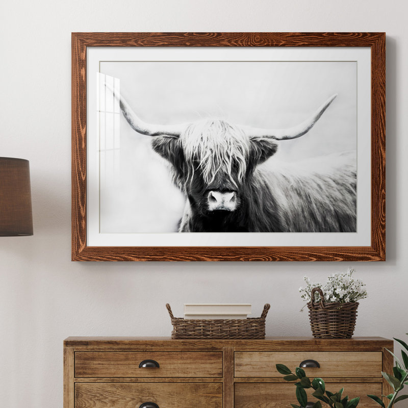 Seifert Longhorn - Reproduction de cadre photo sur papier, Papier avec cadre érable, H 23,5 po x l 31,5 po x P 1,5 po