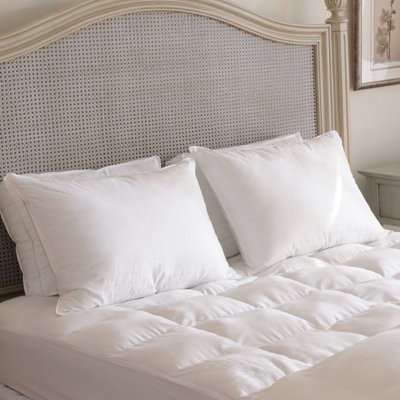Lippa Down Alternative Plush Pillow
