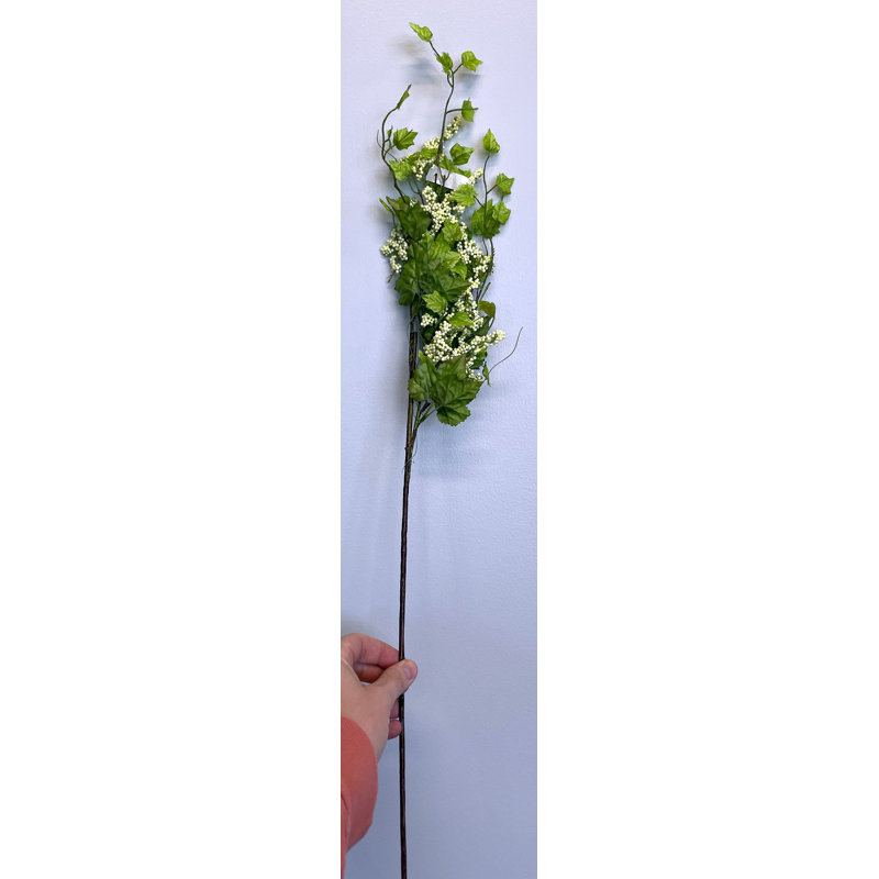 Tiges de plantes à graines, Crème