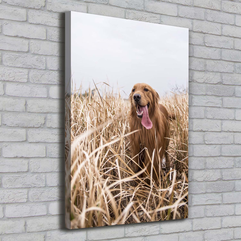 Golden Retriever - Wrapped Canvas Print