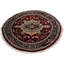 Kassiani Oriental Area Rug in Red
