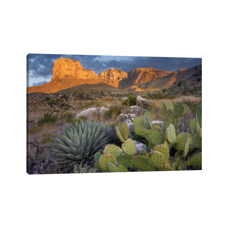 Opuntia Cactus And Agave Near El Capitan, Guadalupe Mountains National Park, Chihuahuan Desert, Texas by Tim Fitzharris - Wrapped Canvas Print