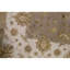 Oriental Area Rug