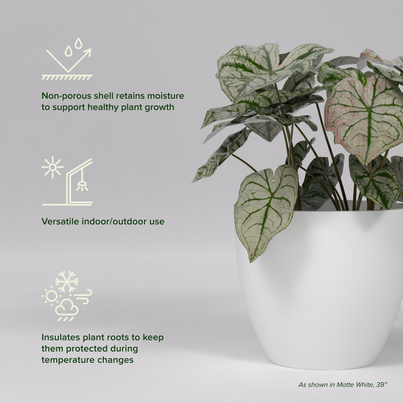 Greenline Fiberglass Lucy Large Indoor/Outdoor Round Planter -, Matte White, 34" H x 39" W x 39" D