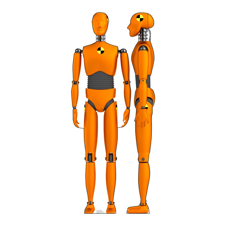 75'' Novelty & Humor Cardboard Standup
