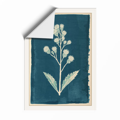 Specimen Study Botanical - Framed Print
