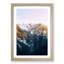 Tall Trees - Picture Frame Painting Print-55640657-55640659
