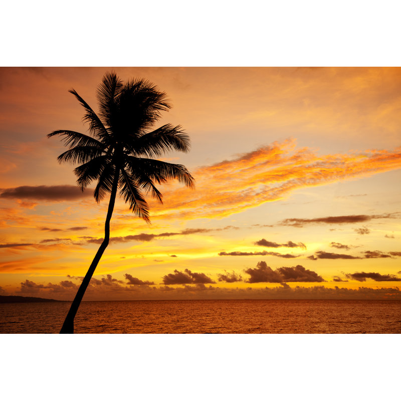 Palm Tree Dilhouette by Jhorrocks - Wrapped Canvas Print, 81cm H x 122cm W