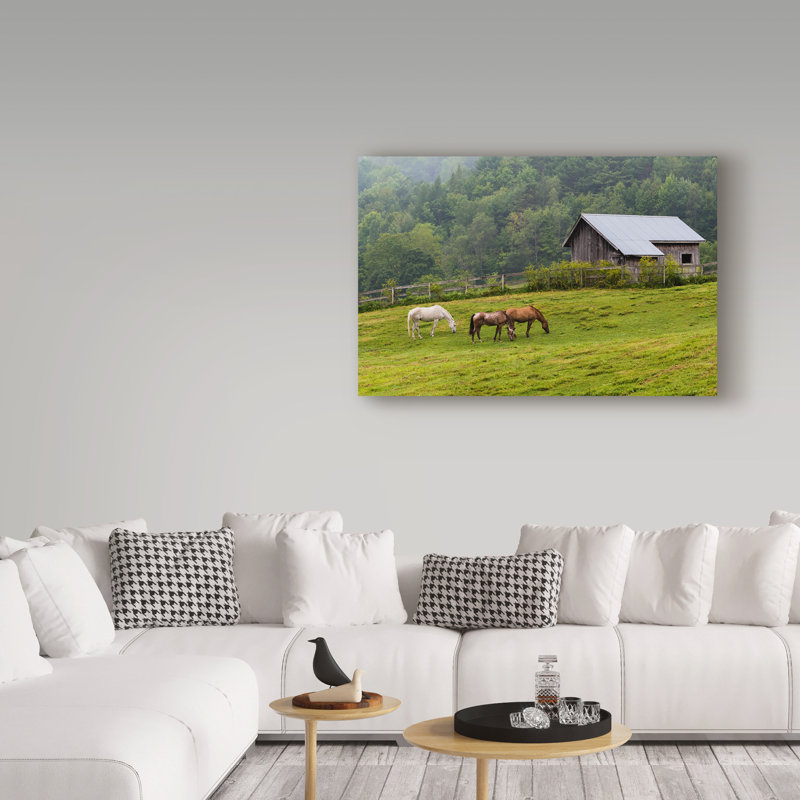 « cheval farm green », reproduction de photo sur toile tendue, H 22 po x l 32 po x P 2 po