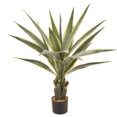 38" Potted Agave Plant