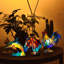 Lampe de table de chevet pour animaux-198572965