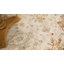 Tunceli Oriental Indoor Rug-61240712