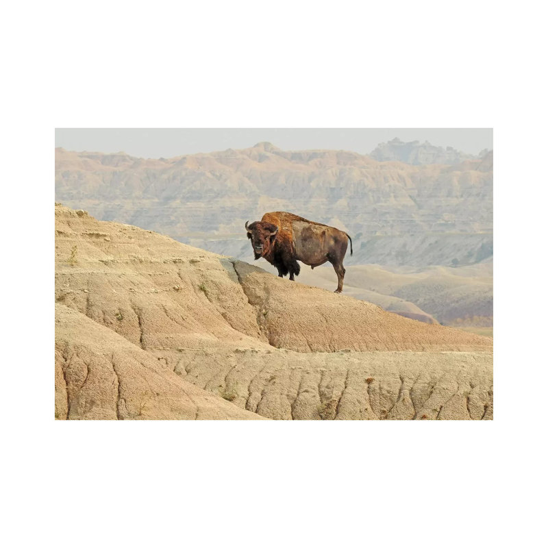 On The Ledge by Brian Wolf - Wrapped Canvas Print, 20.32cm H x 30.48cm W x 1.91cm D