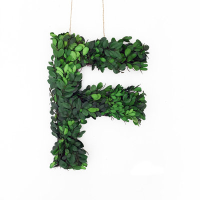 Abarca Preserved Boxwood 8'' Wreath
