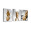 3 Piece Wrapped Canvas Wall Art