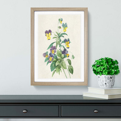 Wild Pansy Flowers by Pierre-Joseph Redoute - Framed Print