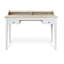 Jamaul Solid Wood Executive Desk-1759103282