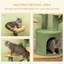 Plymouth 83cm H Cat Tree