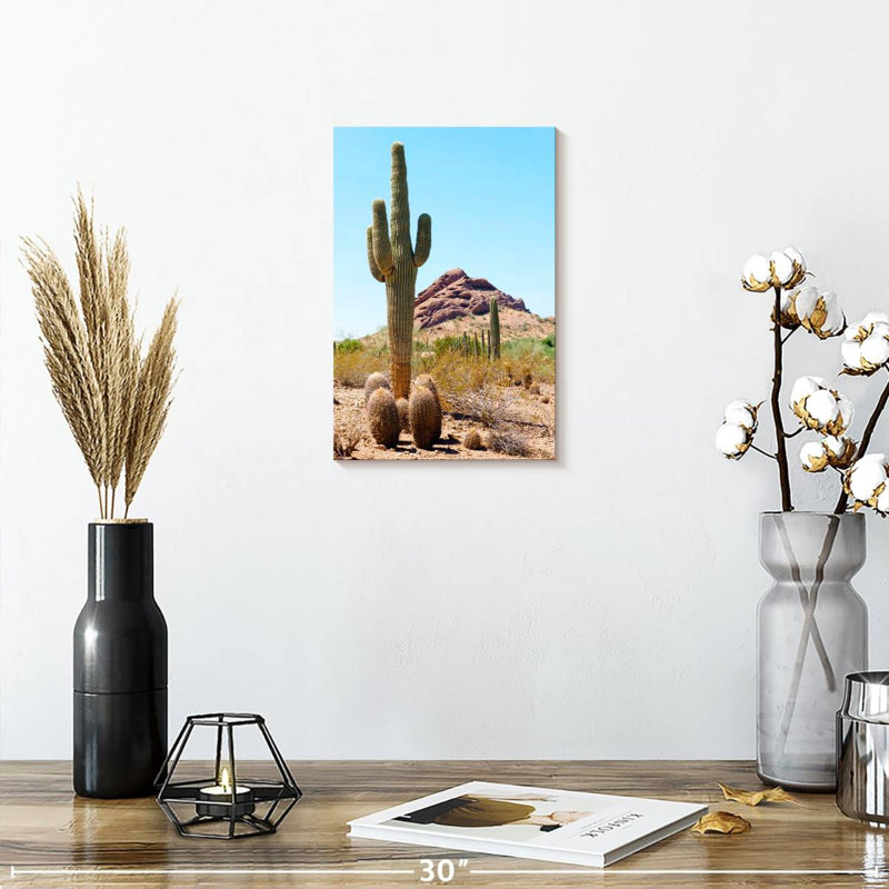 Harnek le cactus géant, H 12 po x l 8 po