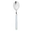 Fantasia Serving Spoon