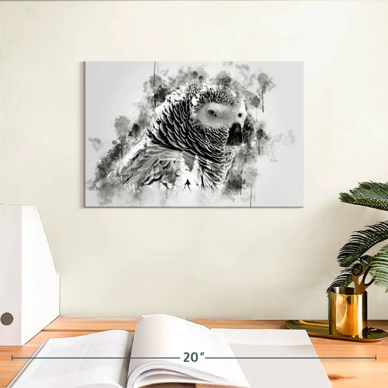 Brampt African Grey Parrot Black And White