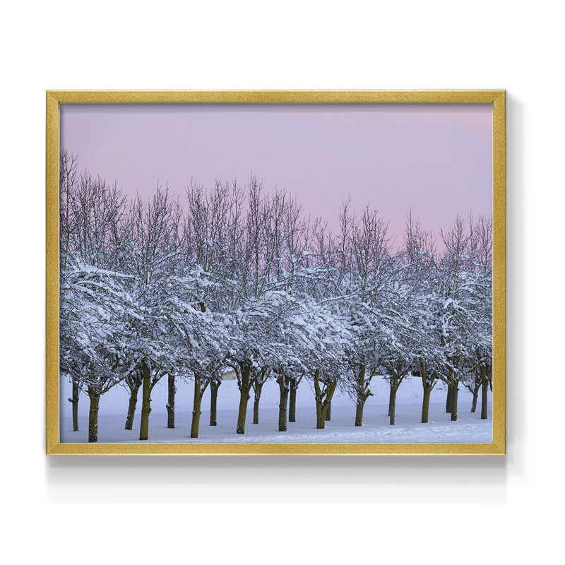 Winter's Beauty -Framed Print - Restickable