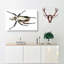 Goliath Beetle by George Shaw - Wrapped Canvas-55304222