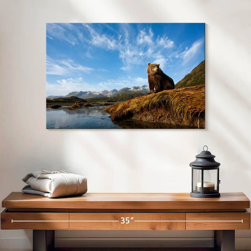 Brown Bear In Katmai National Park, H 16 po x l 24 po