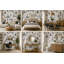 Harker Travel Paris 10' L x 24" W Peel and Stick Wallpaper Roll