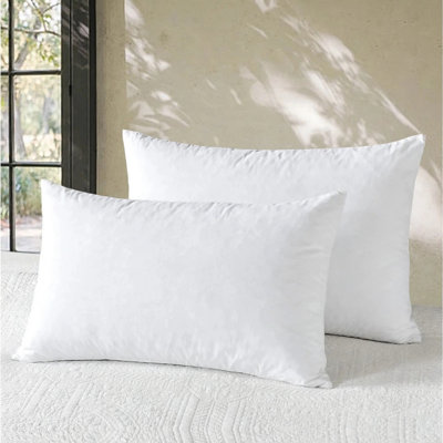 Ensemble de 2 coussins 100% coton en duvet de plumes douces 14 x 22 (ensemble de 2)