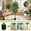6ft Artificial Ficus Trees Set of 2 with 1008 Flat Leaves, Dual Trunks, Realistic Faux Greenery in Black Pots for Home, Office, or Living Room Decor – 78"H, 1 Box for 2 Banyan Trees-1251114185-1251114184