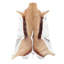 Peau naturelle Springbok
