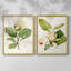 Impression encadrée MagnoliaFlowersI-Premium - prête à être accrochée - aucun clou requis - aucun clou requis-1277906644-1277906601