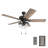 Arlea 52" Ceiling Fan with LED Light-923096366