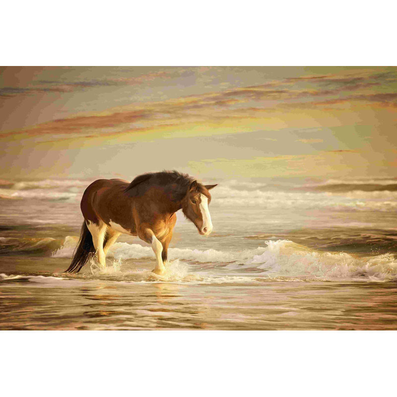 Chevaux en soleil V, H 8 po x l 12 po